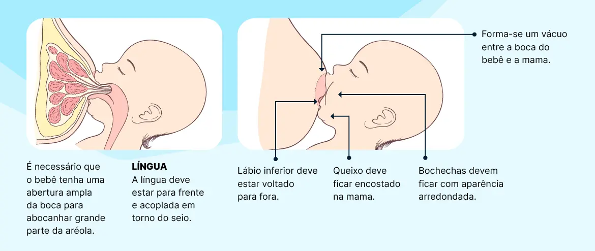 dicas com relação à pega do bebê.webp